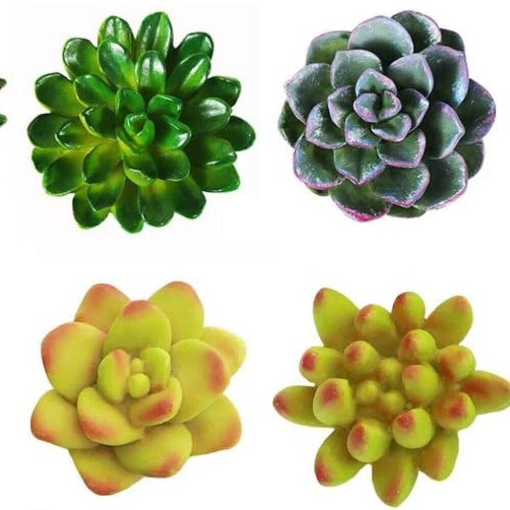 Funny 3D Resin Succulent Fridge Refrigerator Magnets, Set of 8